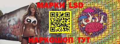 стафф Будённовск